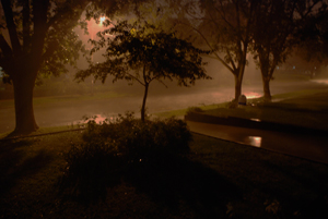 Summer rain from the front porch